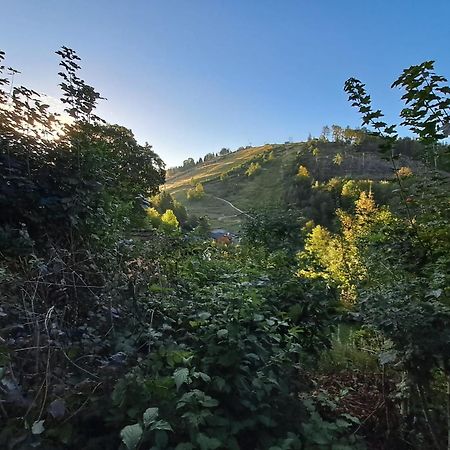 Platell Ferienhausverwaltung Sankt Andreasberg Exteriör bild