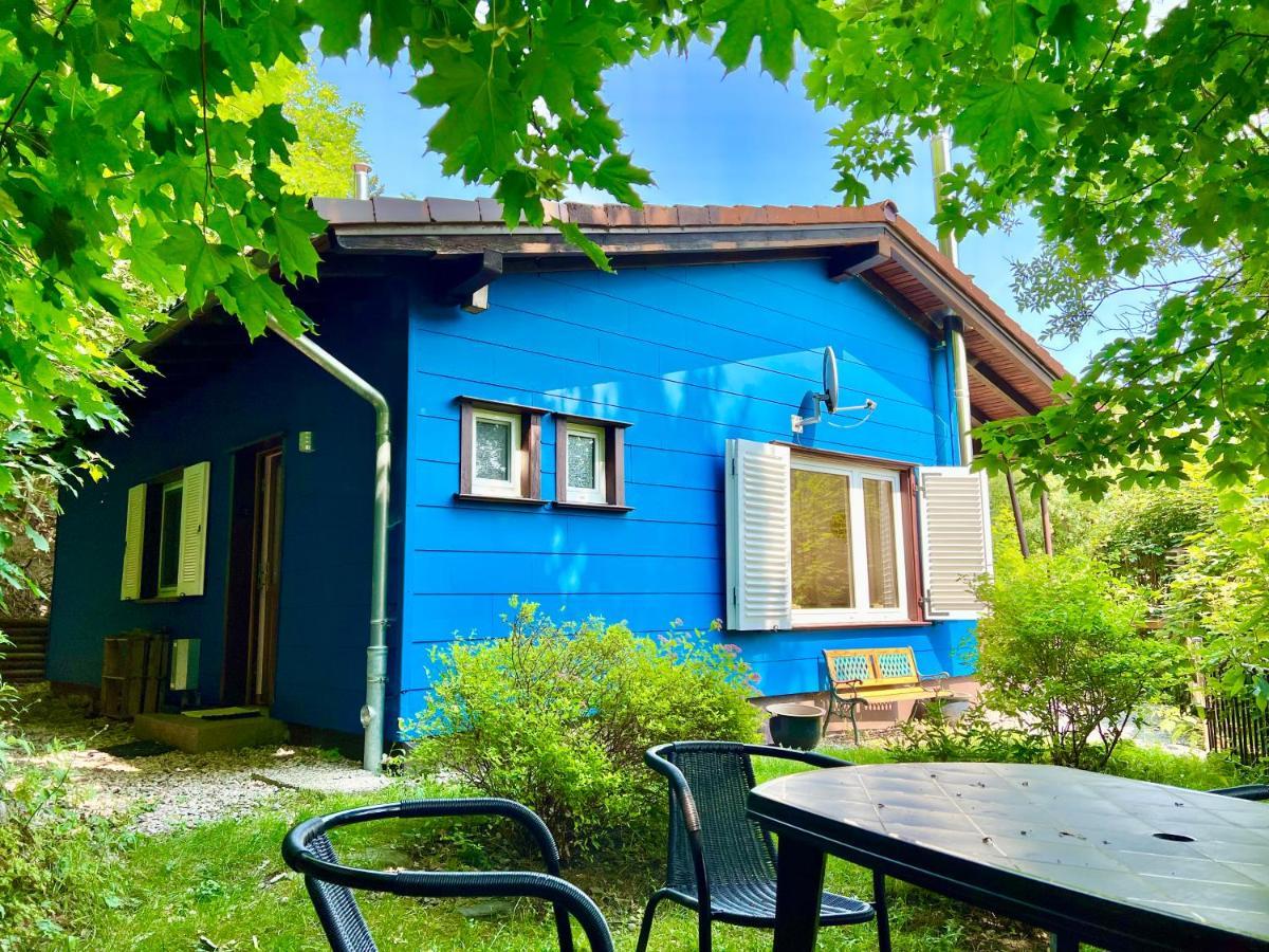Platell Ferienhausverwaltung Sankt Andreasberg Exteriör bild