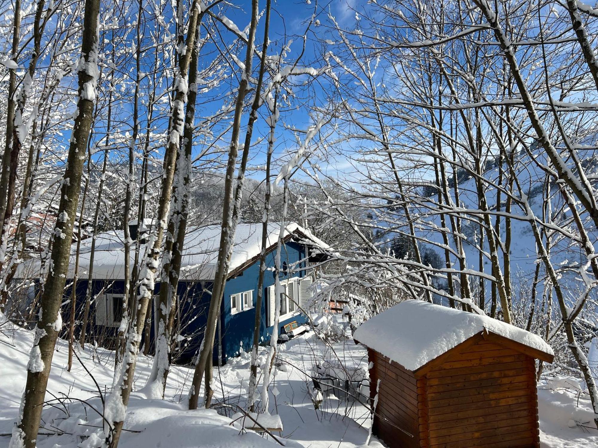 Platell Ferienhausverwaltung Sankt Andreasberg Exteriör bild