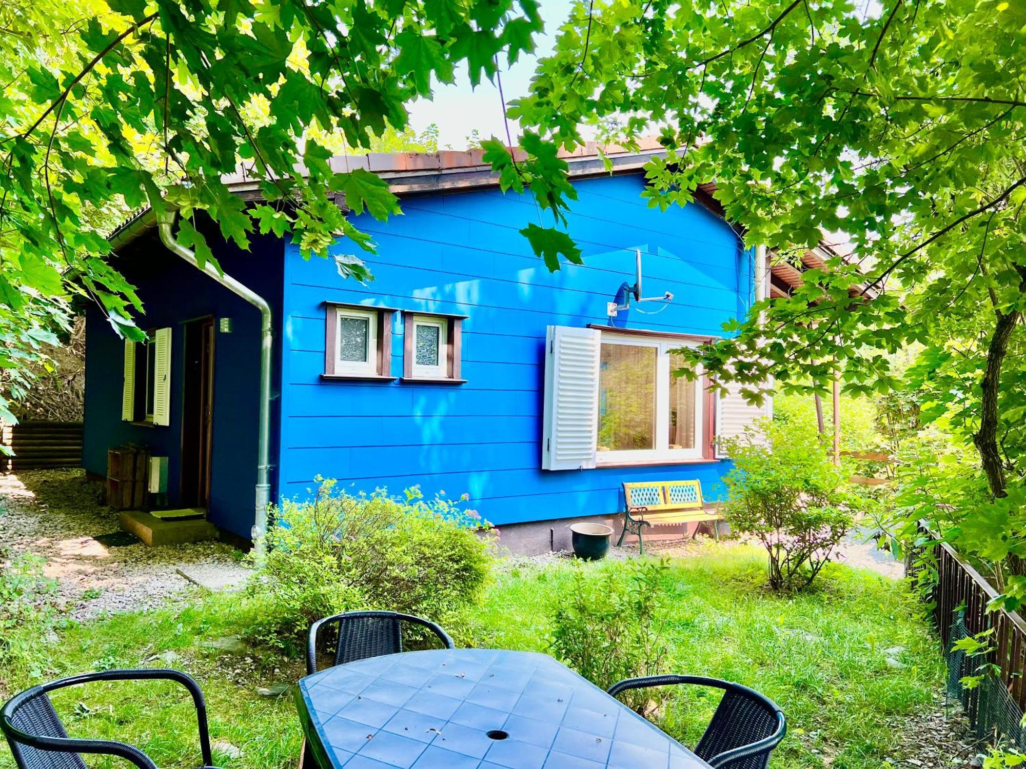Platell Ferienhausverwaltung Sankt Andreasberg Exteriör bild